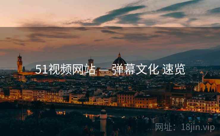 51视频网站 — 弹幕文化 速览