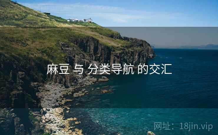 麻豆 与 分类导航 的交汇