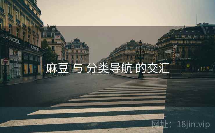 麻豆 与 分类导航 的交汇