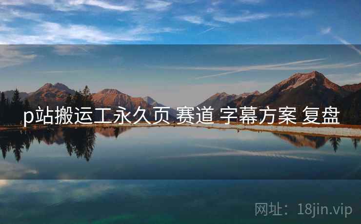 p站搬运工永久页 赛道 字幕方案 复盘