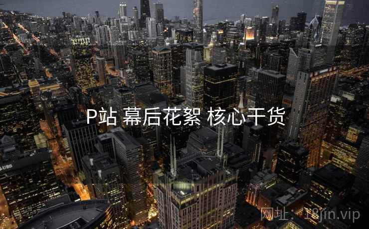 P站 幕后花絮 核心干货