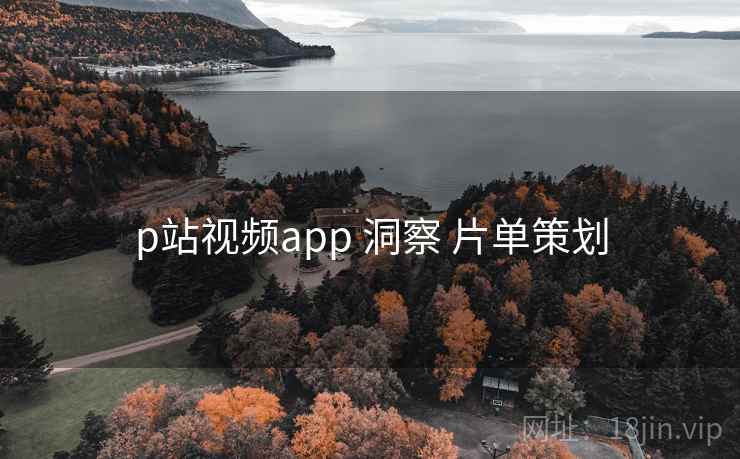 p站视频app 洞察 片单策划