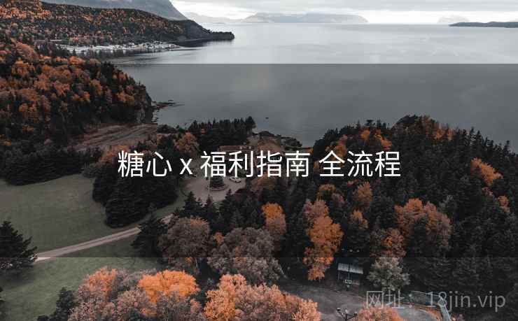 糖心 x 福利指南 全流程