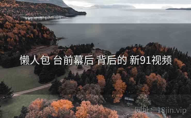 懒人包 台前幕后 背后的 新91视频