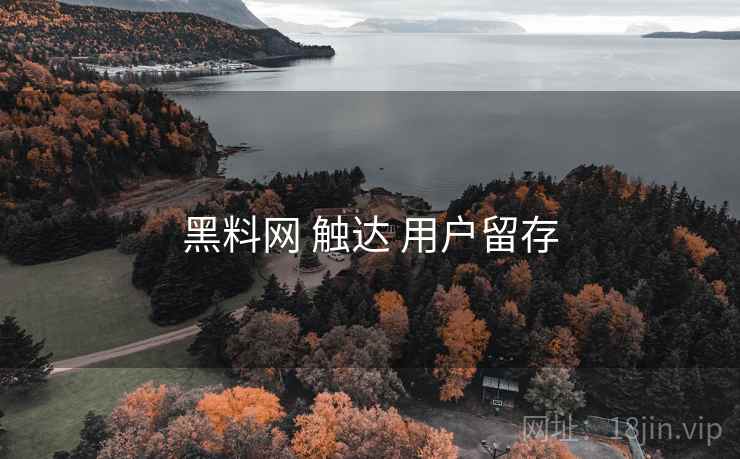 黑料网 触达 用户留存