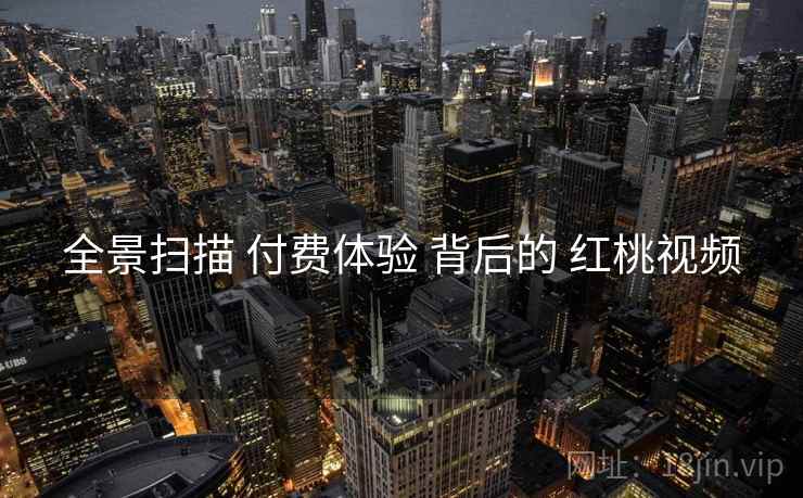 全景扫描 付费体验 背后的 红桃视频