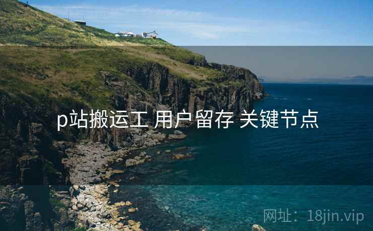 p站搬运工 用户留存 关键节点