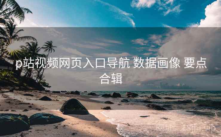 p站视频网页入口导航 数据画像 要点合辑