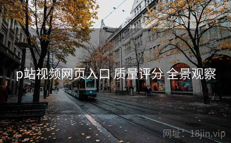 p站视频网页入口 质量评分 全景观察