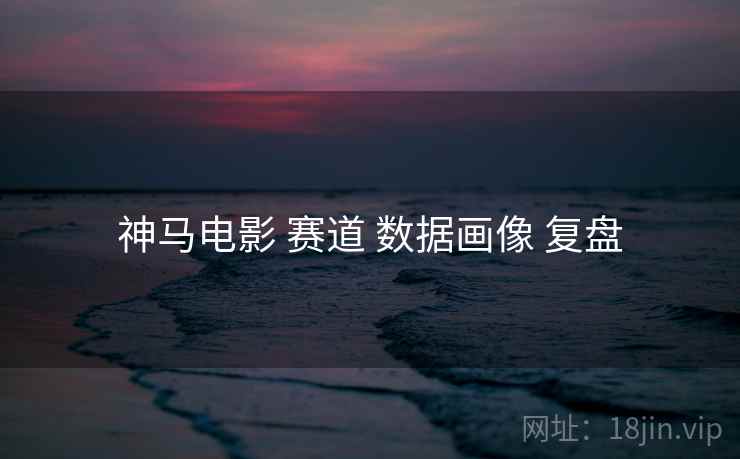 神马电影 赛道 数据画像 复盘