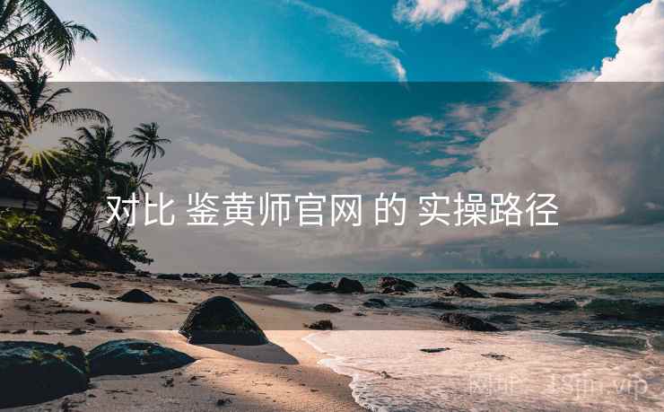 对比 鉴黄师官网 的 实操路径