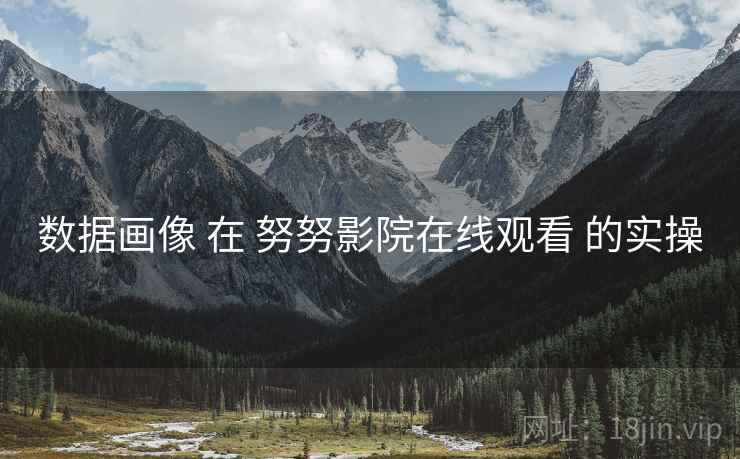 数据画像 在 努努影院在线观看 的实操