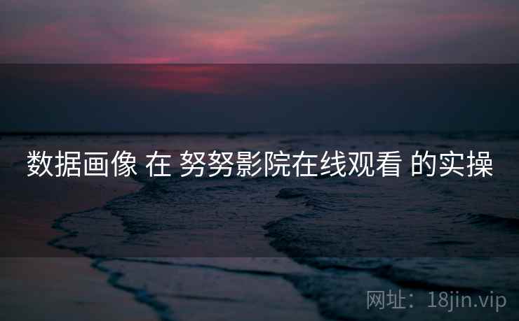 数据画像 在 努努影院在线观看 的实操