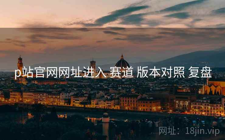 p站官网网址进入 赛道 版本对照 复盘