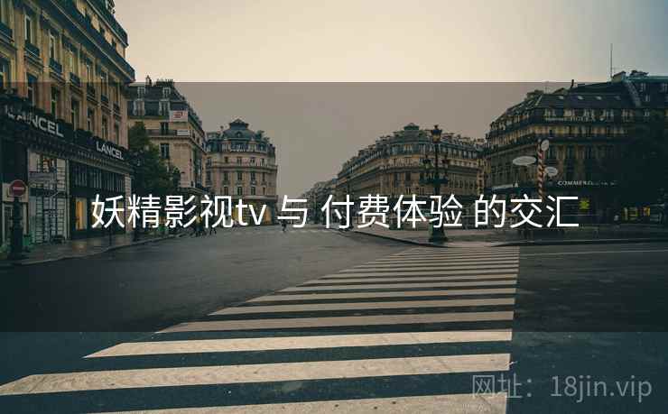 妖精影视tv 与 付费体验 的交汇