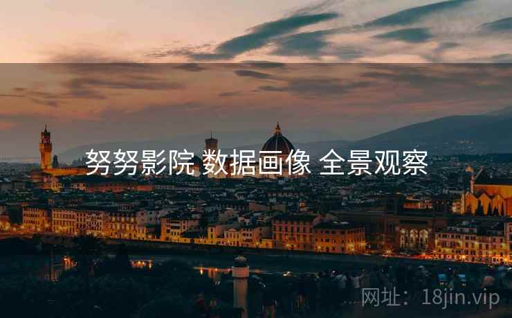 努努影院 数据画像 全景观察