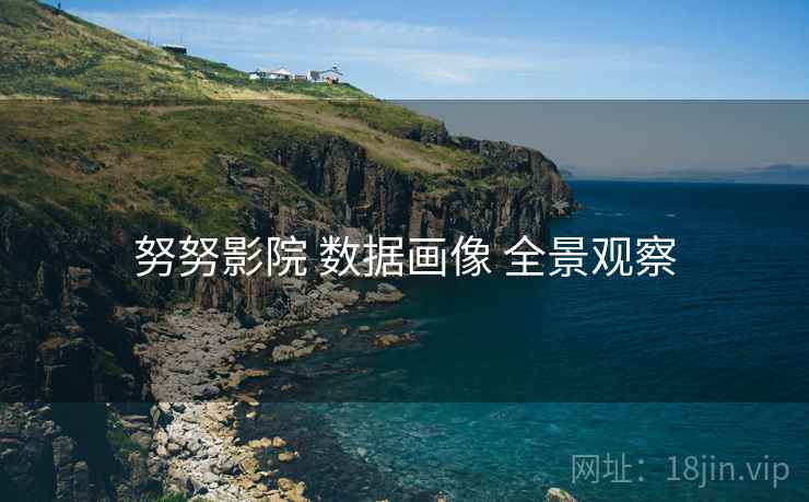 努努影院 数据画像 全景观察
